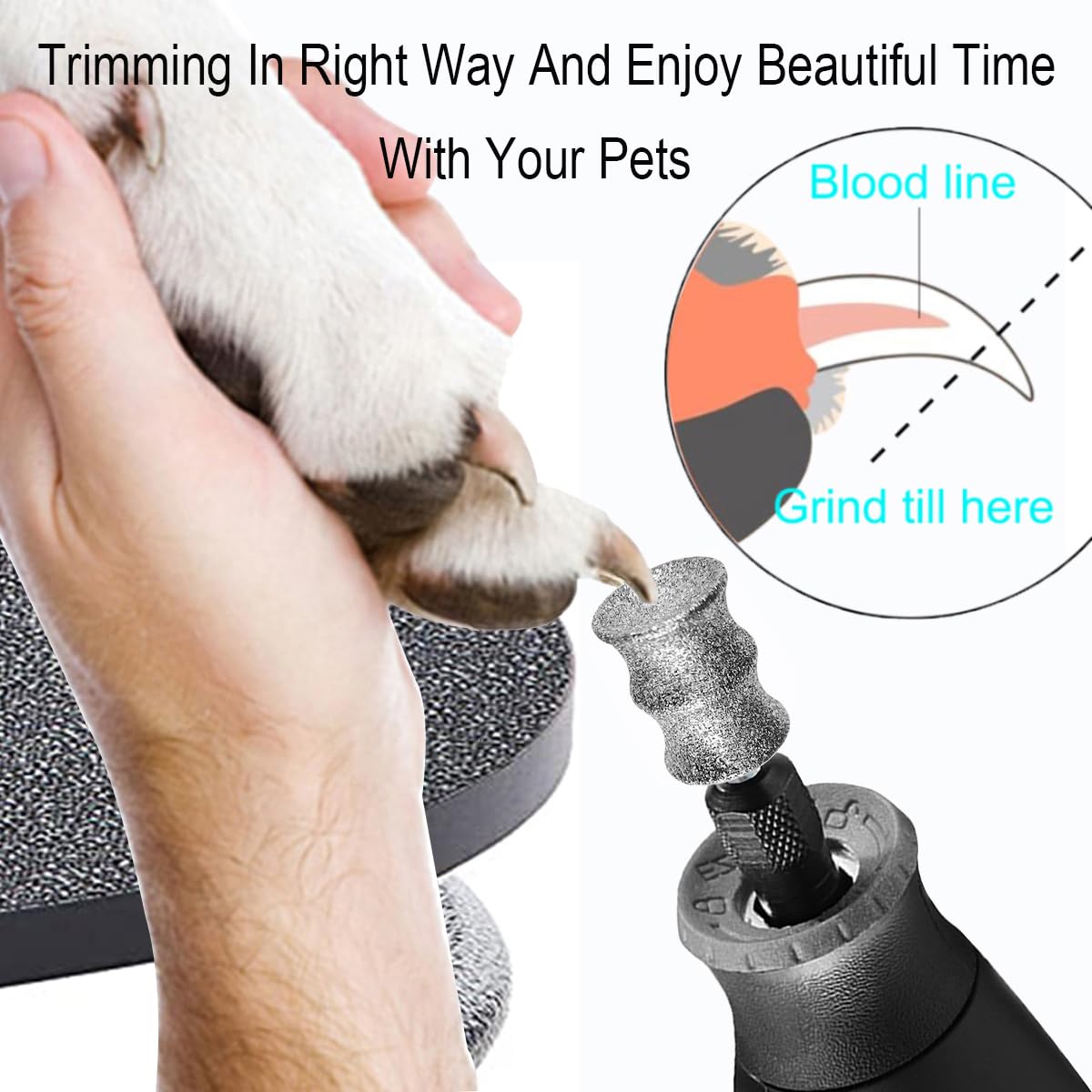 Ovatavo Dog Nail Grinder Attachment For Dremel - 1/8    Diamond Rotary Nail Grinder Bits For Large Medium Dogs Nail Care - Gift