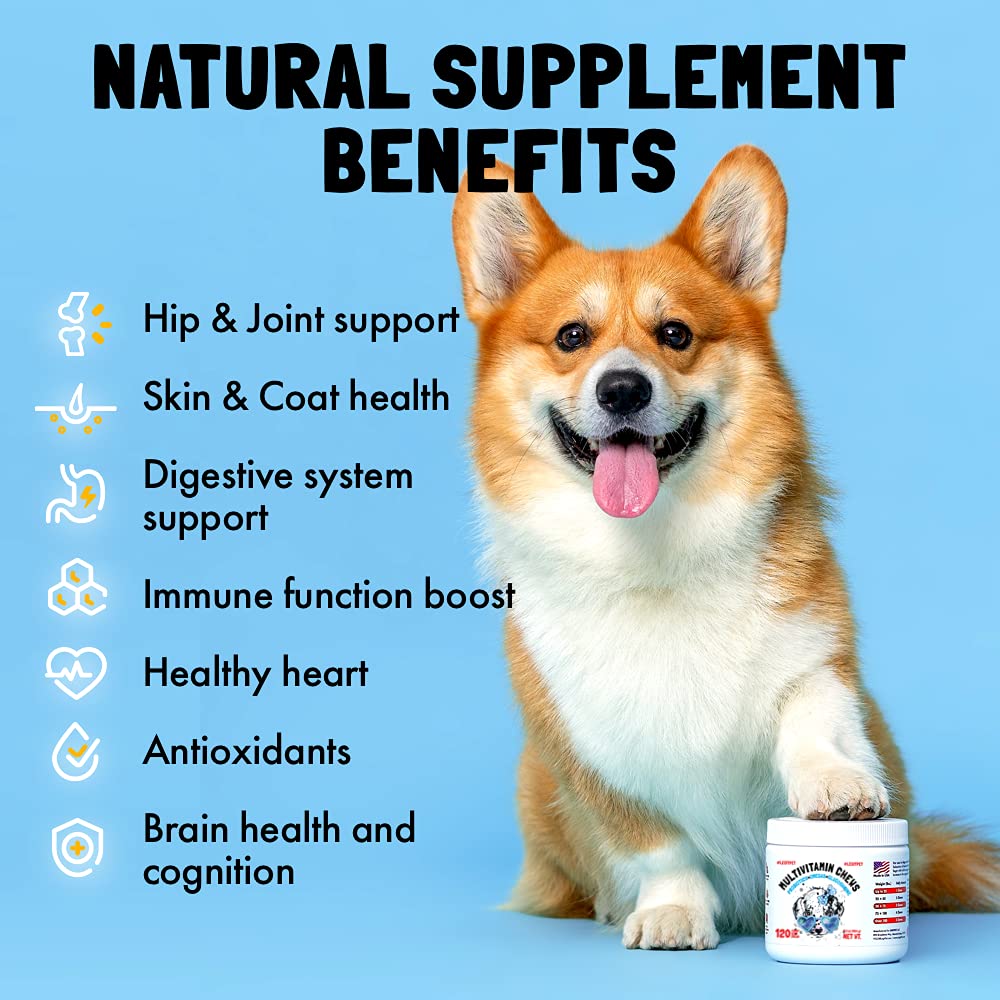 Dog Vitamins - 30 Multivitamins Chews w/Glucosamine Chondroitin, Probiotics Digestive Enzymes and Omegas - Supplement for Overal
