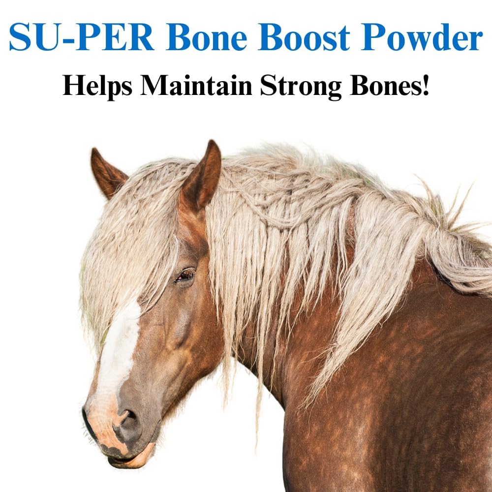 SU-PER Bone Boost Horse Minerals - Calcium Phosphorus Magnesium Support for Bone Growth & Development - Horse Vitamins and Miner