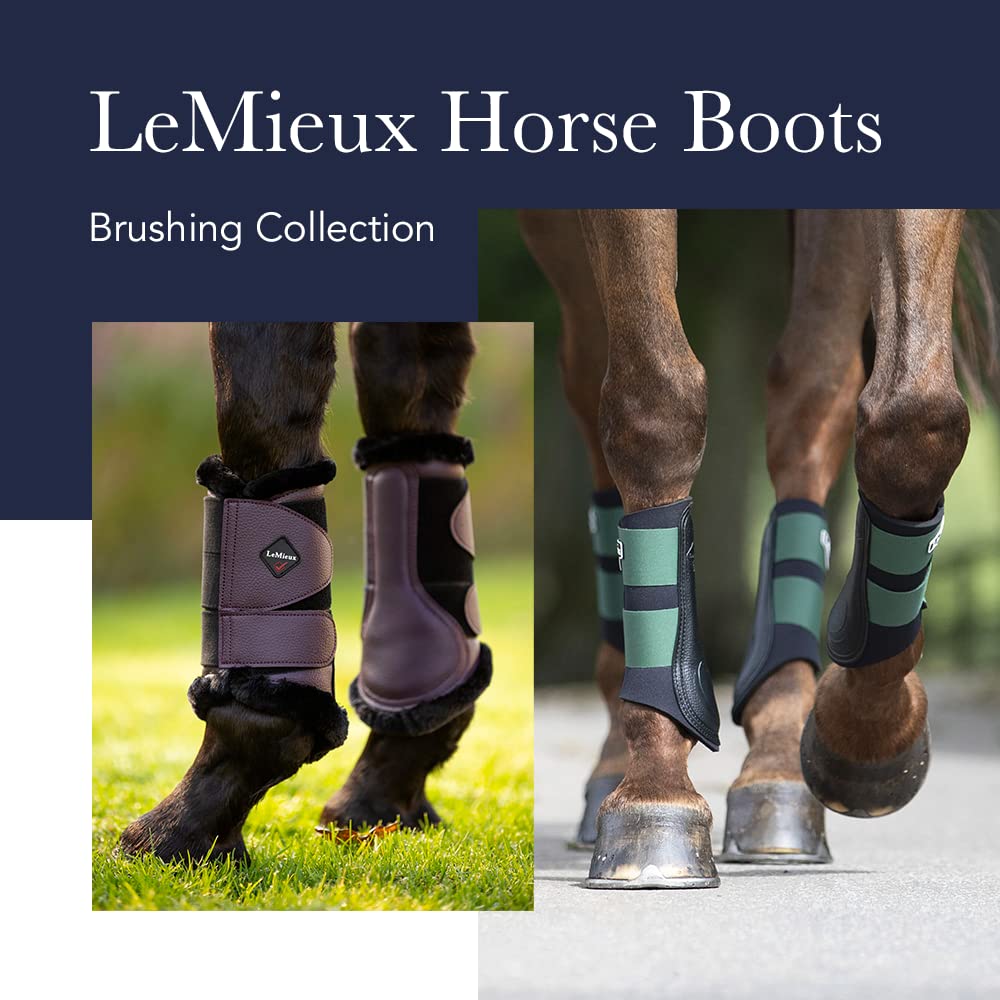 Lemieux Mesh Brushing Horse Boots - Protective Gear And Training Equipment - Equine Boots, Wraps & Accessories (Black - Medium)
