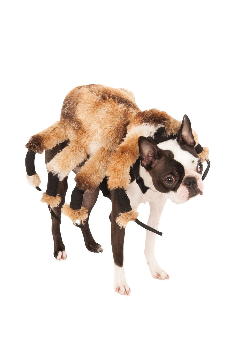 Giant Spider Pet Suit, Large