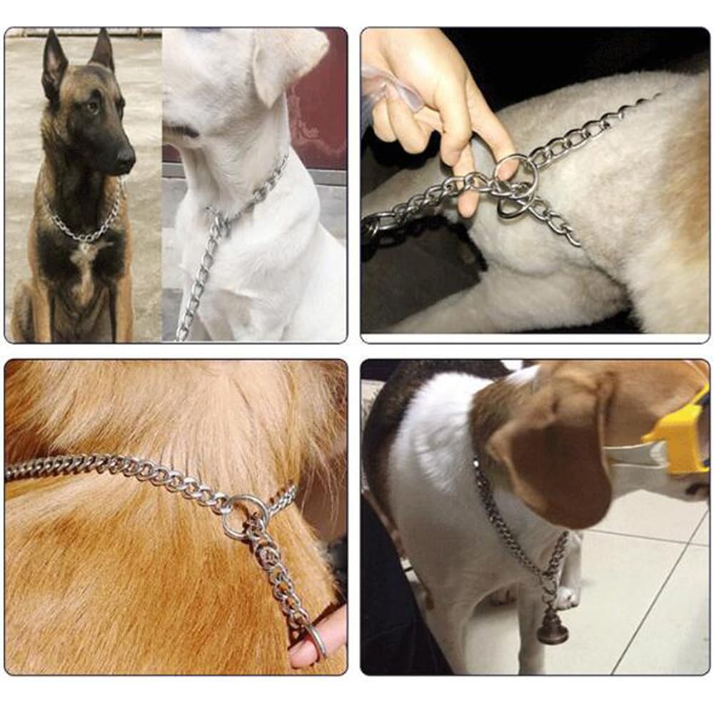 Silver Chain Collar For Dogs, Metal Slip P Link Training Heavy Duty Dog Collar Martingale Collars Puppy Chain For Xxs Xs Small M