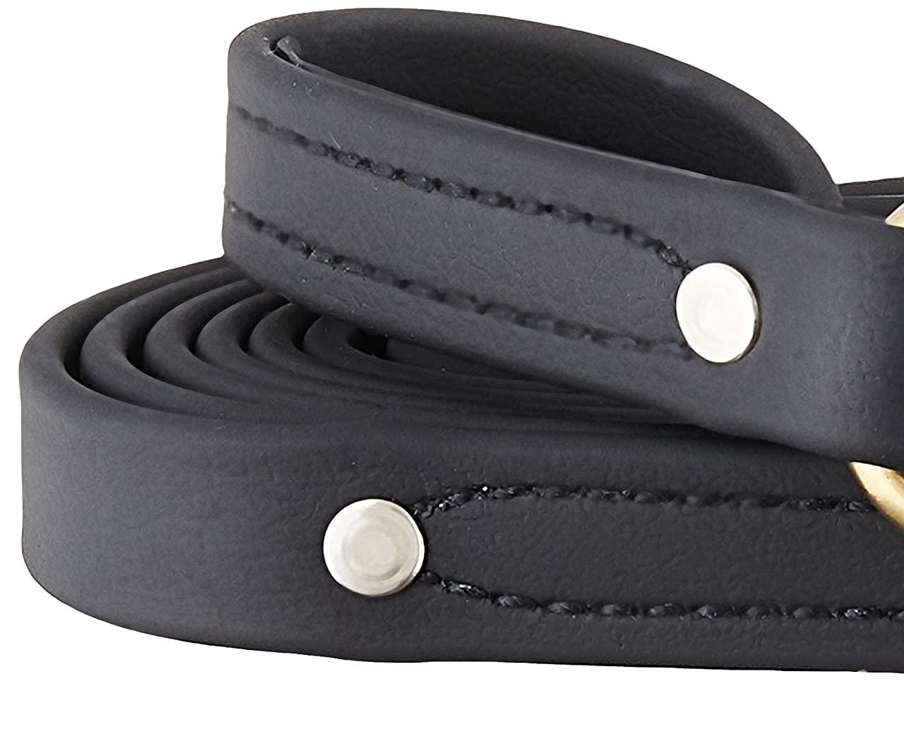 Ray Allen Mfg Signature K9 Biothane Leash, 6-Feet X 3/4-Inch, Black