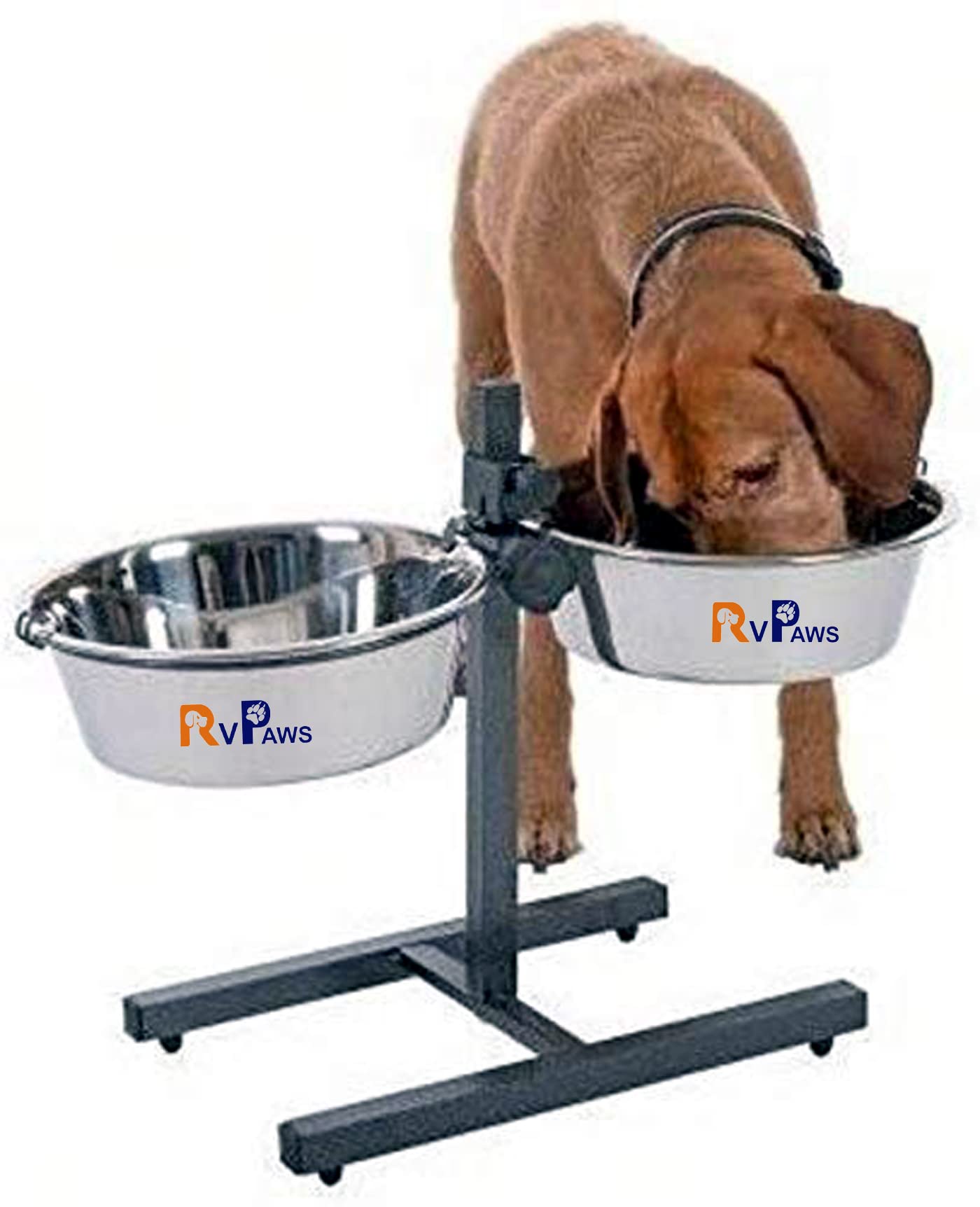 Rvpaws Dog Feeding Bowl With Adjustable Height H Style  2 X 1600 Ml Stainless Steel Bowl Set, Dog Elevated Diner Bowl (Medium)