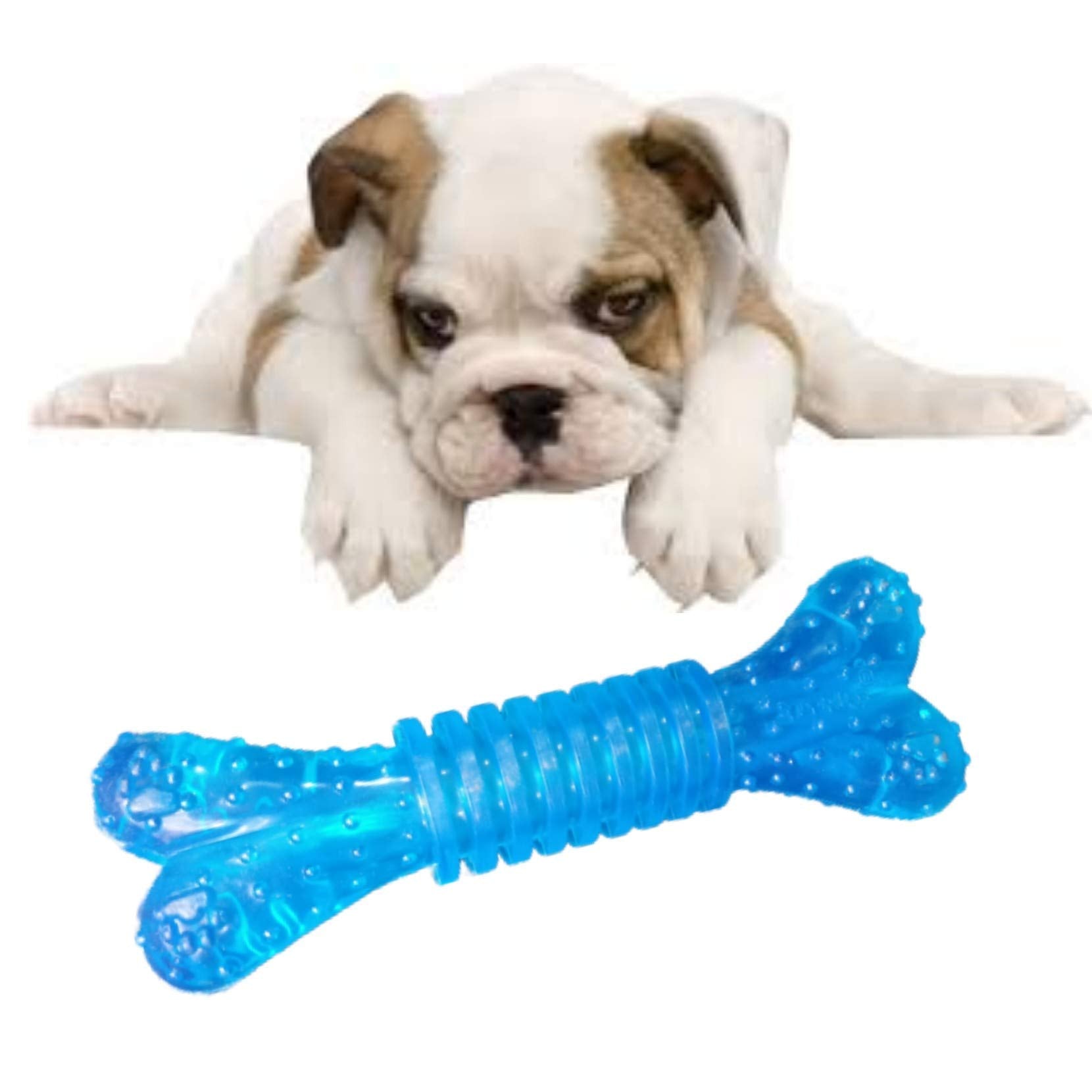 Psk Pet Mart Rubber Flavoured Puppy Bone Toy Spike Bone Chew Toy Teething Toy (Grip BoneColor May Vary)