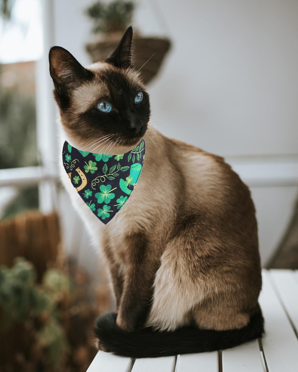 St.Patrick'S Day Cat Collars Breakaway With Bandana Bell Pet Kitten Adjustable Small Dog Puppies Girl Boy