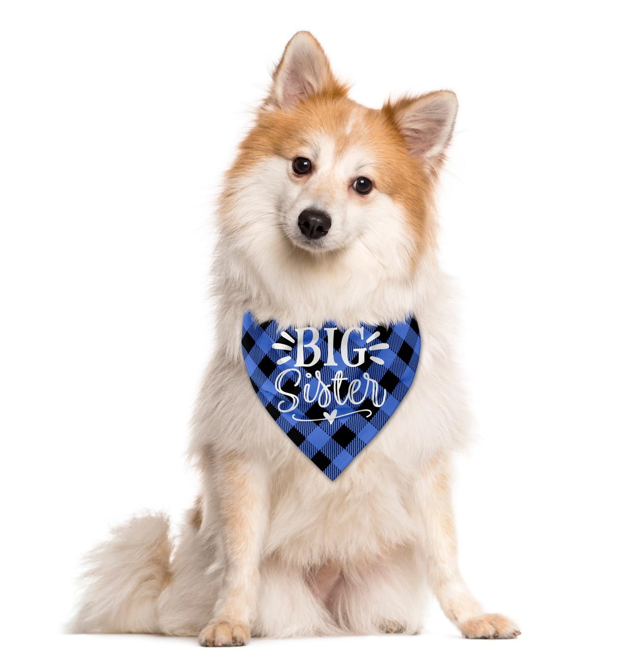 Big Sister Buffalo Plaid Dog Bandana - Plaid Pet Scarf Accessories For Small, Medium, Large Dogs - Baby Announcement Gift