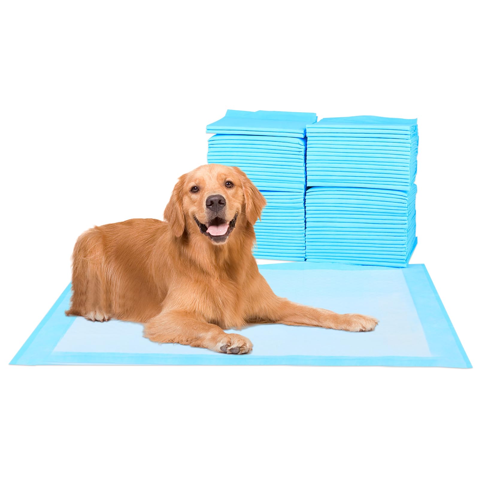 Super Absorbent Waterproof Dog and Puppy Pet Training Pad, Housebreaking Pet Pad, 40-Count Extra Middle-Size, 30X36, Blue