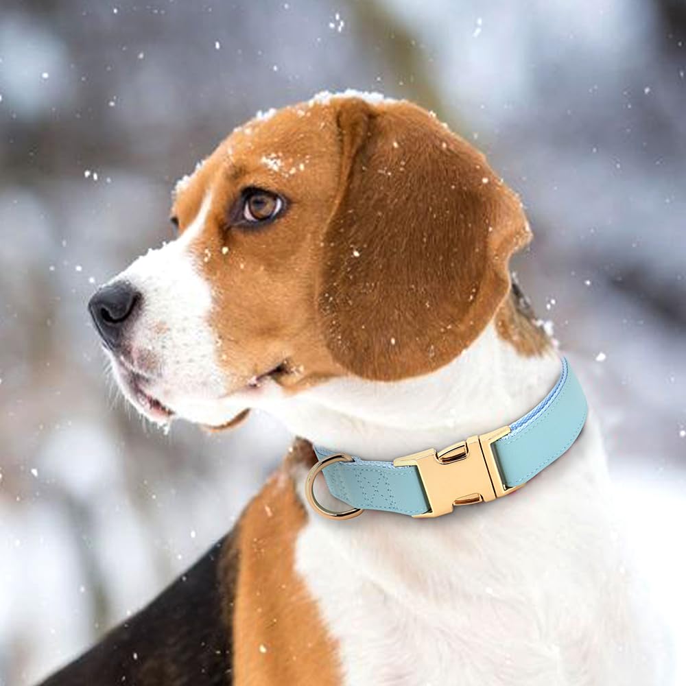 Pet Artist Charming Nylon Dog Collar With Leather Soft Comfy Elegant Nylon Collars For Dogs Small Medium Large 4 Bright Solid Color For Choosing Blue Red Brown Grey (Blue,Neck Fit 16-27'')