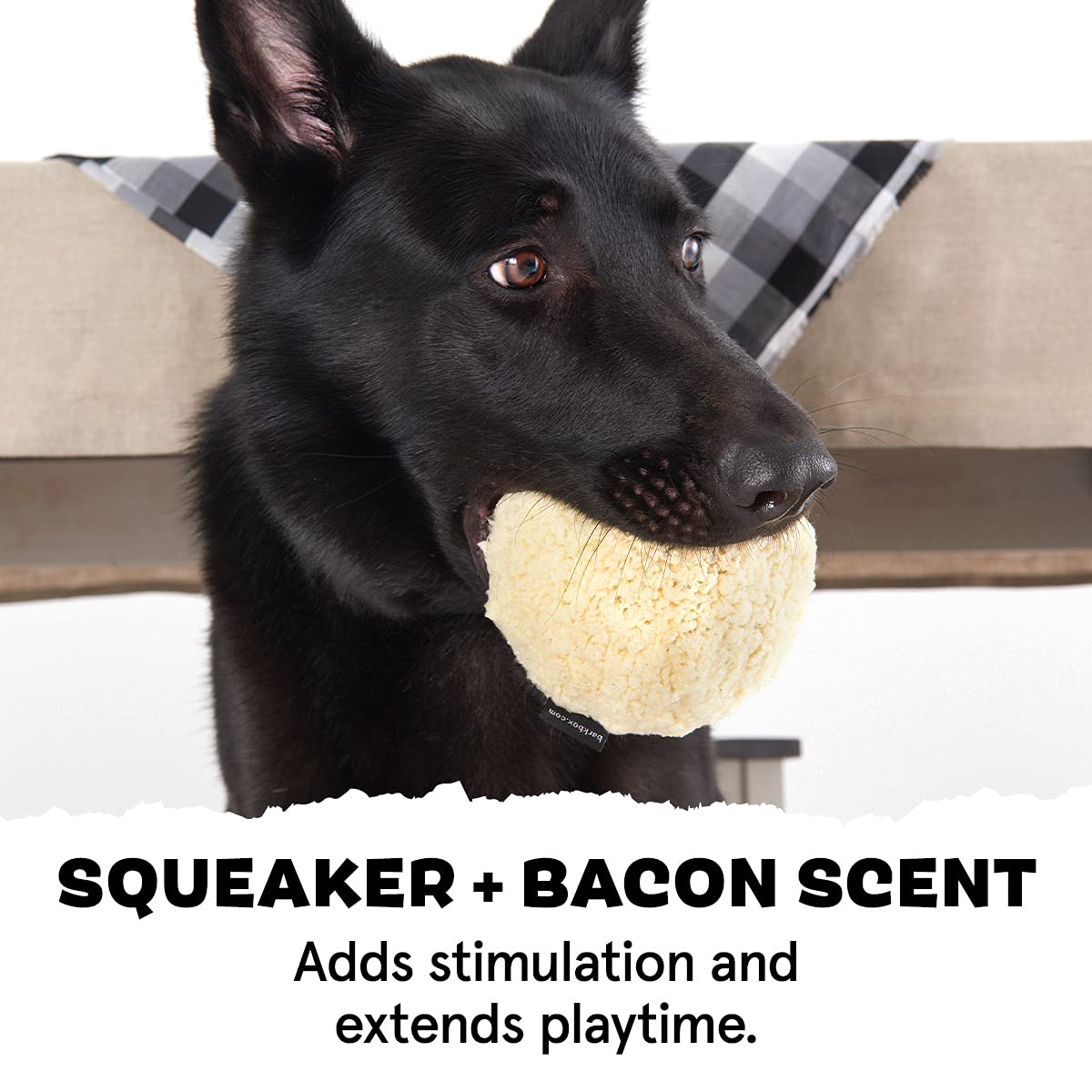 Barkbox Super Chewer Tough Dog Chew Toys For Aggressive Chewers, Plush 2 Toys In 1 (Potato - Large)