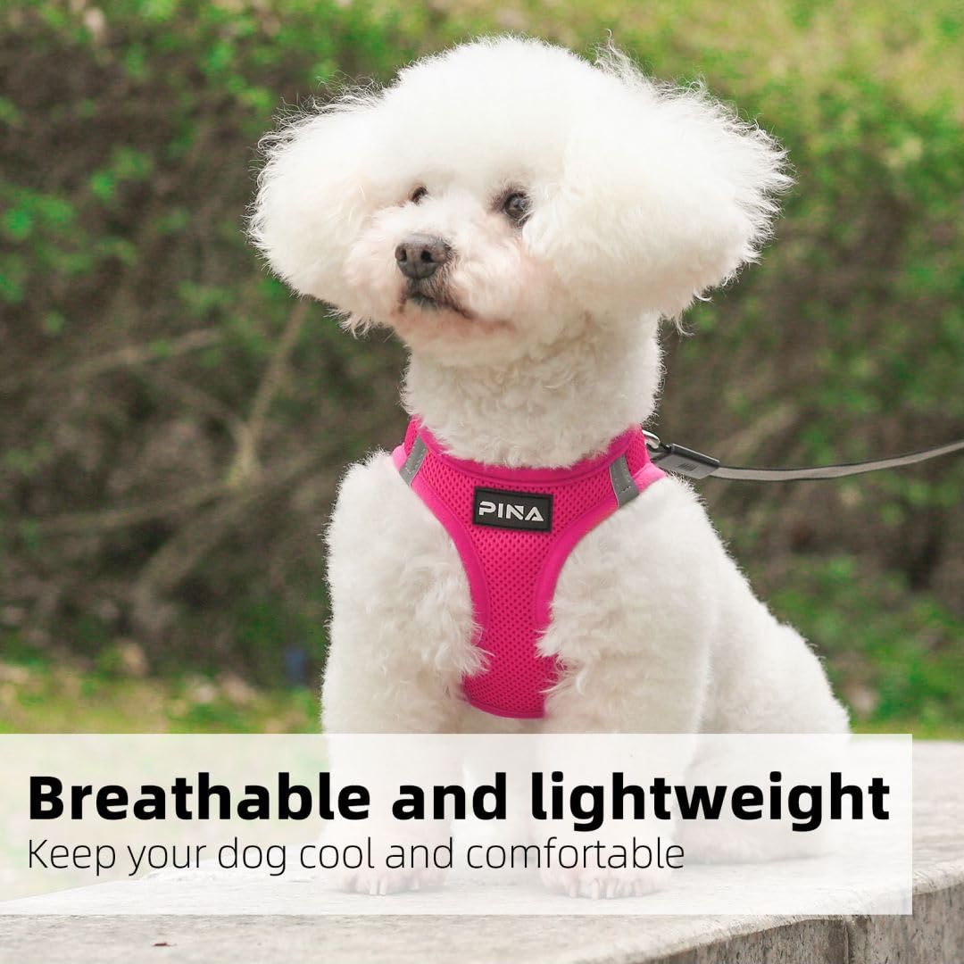 Pina Dog Harness For Small Dogs No Pull, Leash Set, No Choke Breathable Mesh Vest, Lightweight Adjustable For Medium Dogs - Easy
