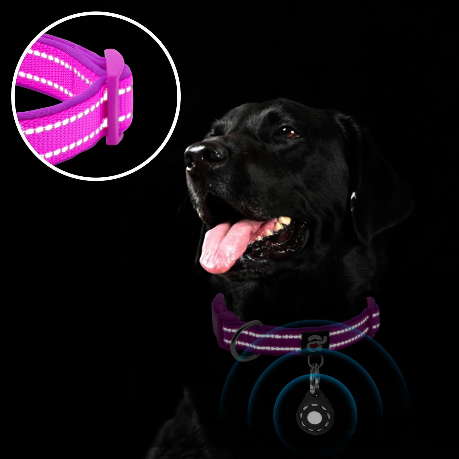 Azuza Reflective Dog Collar With Airtag Holder, Soft Neoprene Padded Pet Collar With Id Tag Ring, Adjustable For Medium Dogs,Pur