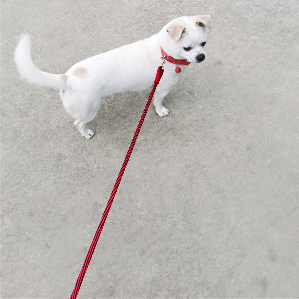 Boswany Small Dog Leash 7Ft, Lightweight Nylon Rope Leash For Puppy Pets, Cats, Small Animals Medium Dogs Walking, Red