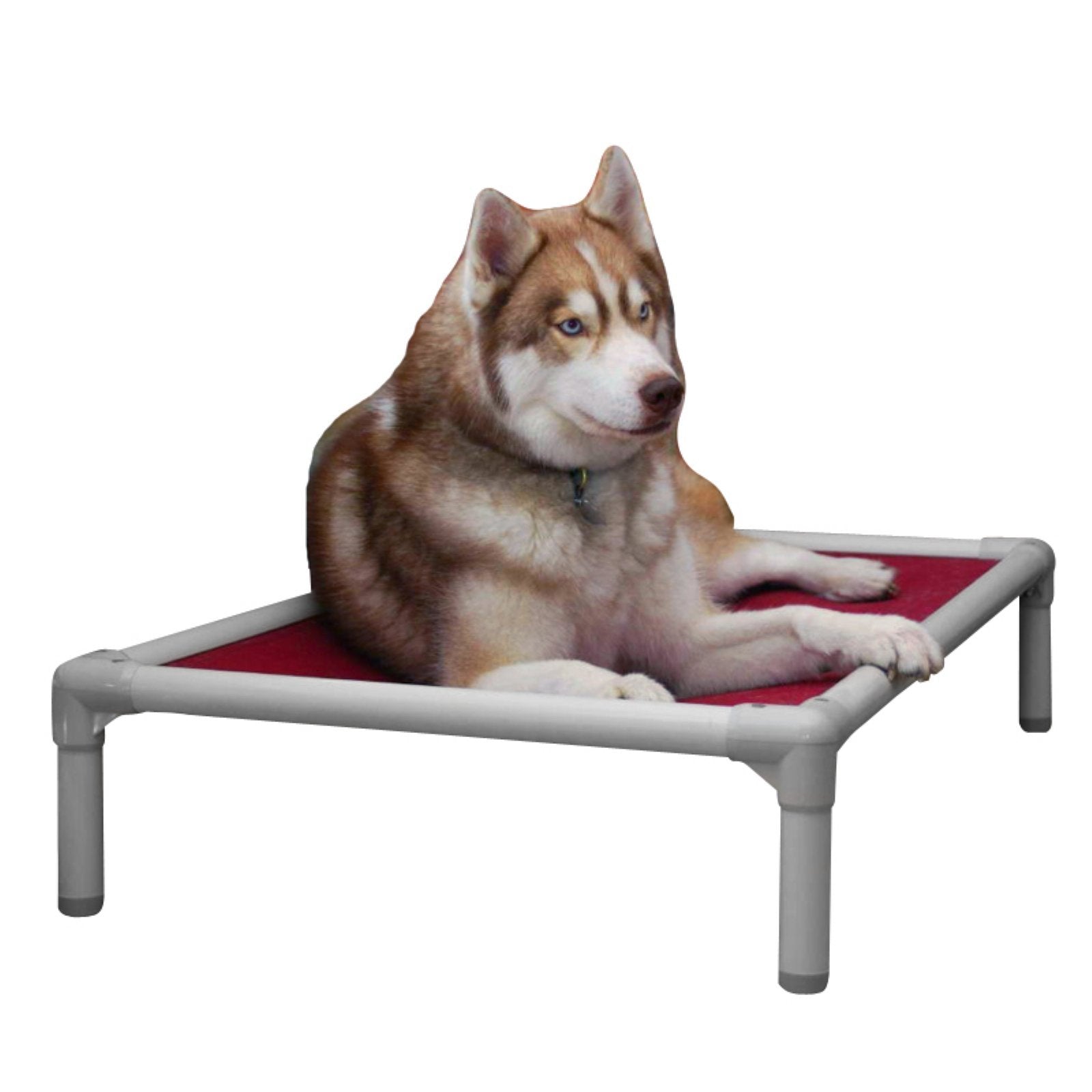 Kuranda Chewproof Bed - Almond PVC - 35'' x 23'' - Cordura Nylon - Gold