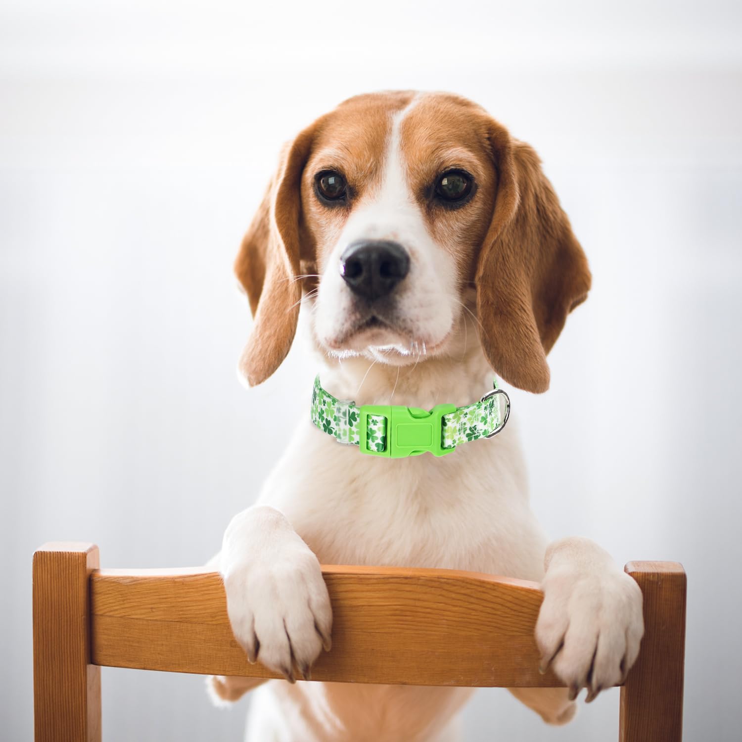 Dog Collar For Large Dogs, Irish Green Shamrock Clovers Dog Collar For Boy & Girl Dogs, Adjustable Heavy Duty Nylon Collar With