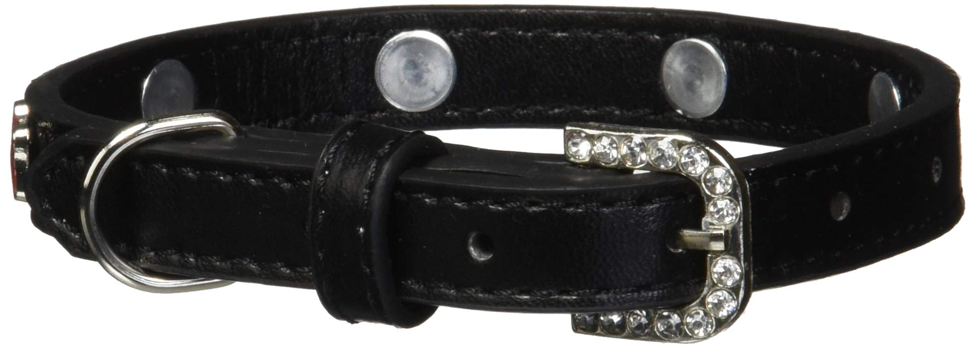 Dog, Puppy & Pet Widget Fashion Collar, "Red Bone" Black 14