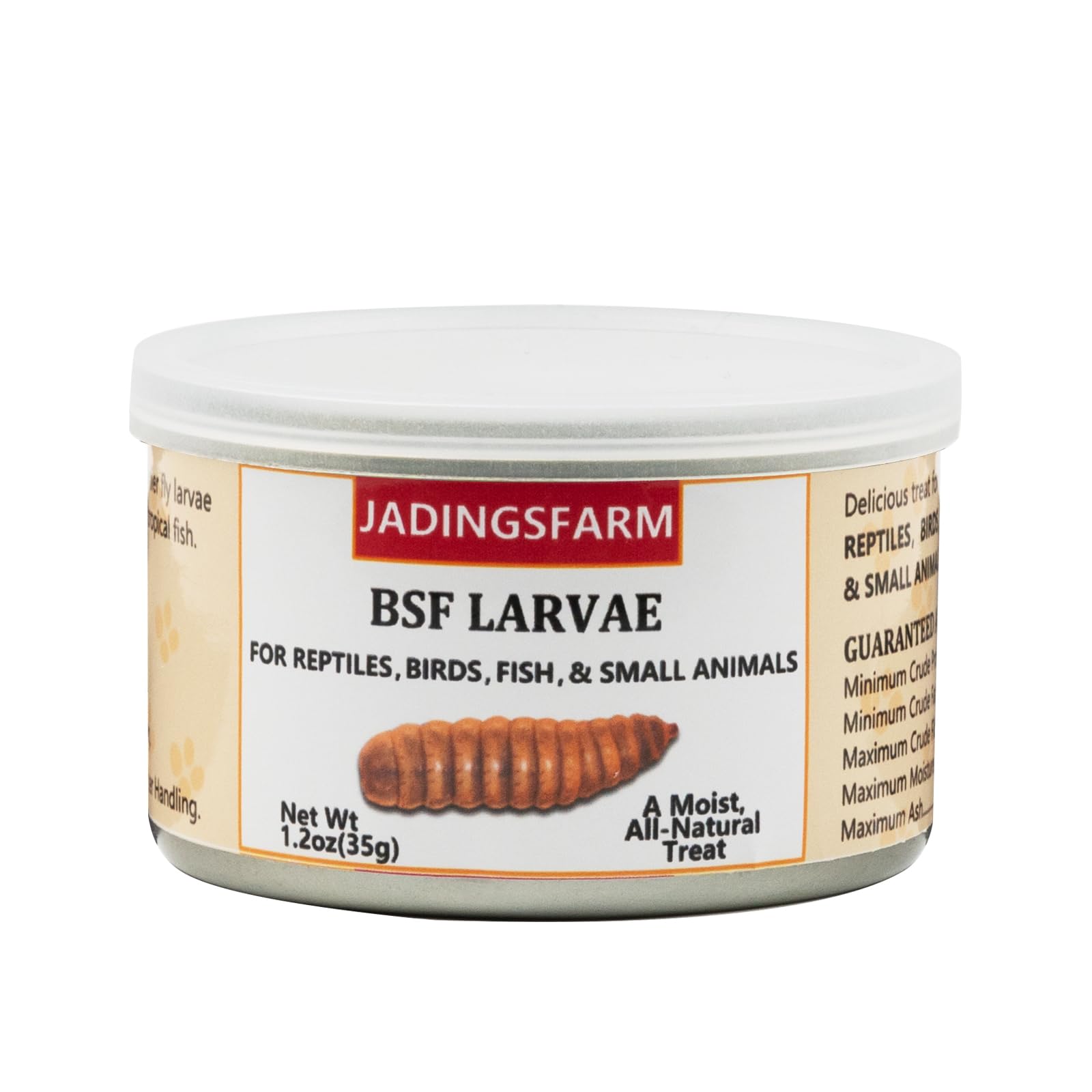 JADINGSFARM 6 Pack Canned Black Soldier Fly Larvae for Reptiles, Fish, Birds and Small Animals, BSF, Healthy High Protein Treat,