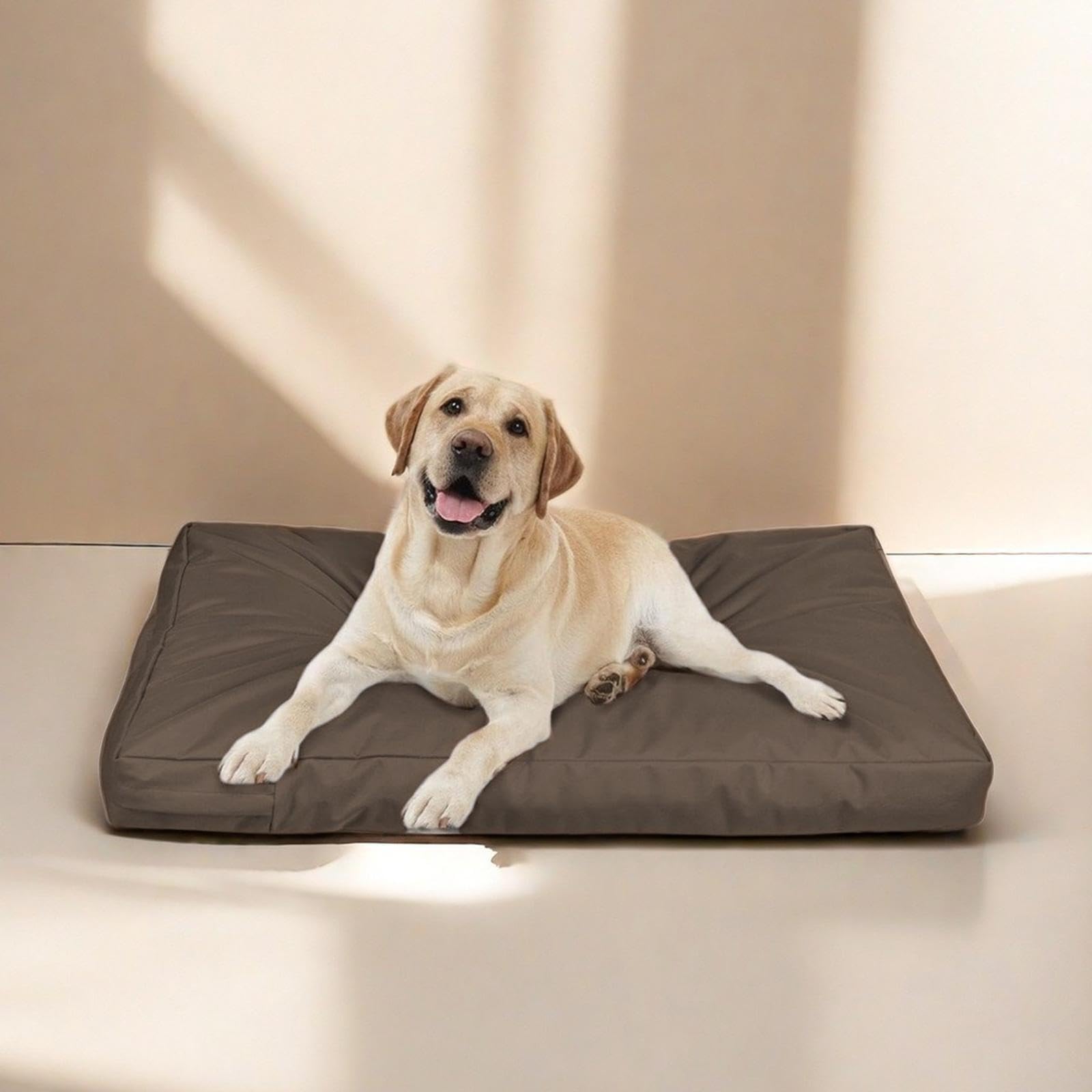 Fashion My Day Dog Crate Mattress Cover with Zipper Dog Bed Cover for Camping Picnic Indoor L