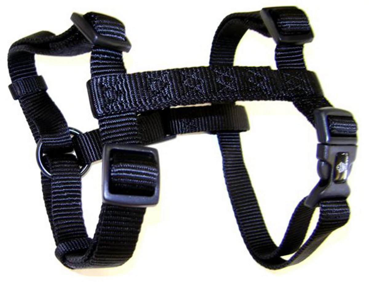 Hamilton Adjustable Comfort Nylon Dog Harness, Black, 3/4'' x 20-30''