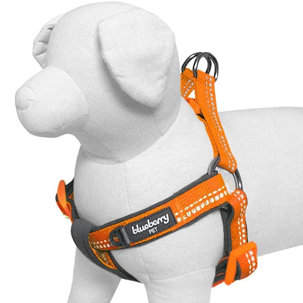 Blueberry Pet Soft & Comfy 3M Reflective Step-in Pastel Color Padded Dog Harness, Chest Girth 16.5 - 21.5, Orange Peel, Small, A