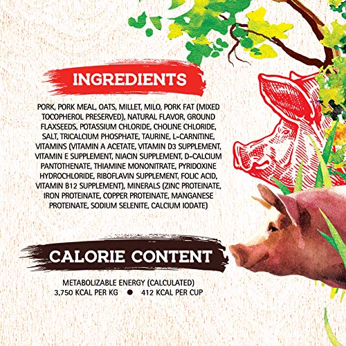Inception Dry Dog Food Pork Recipe - Complete and Balanced Dog Food - Meat First Legume Free Dry Dog Food - 4 lb. Bag