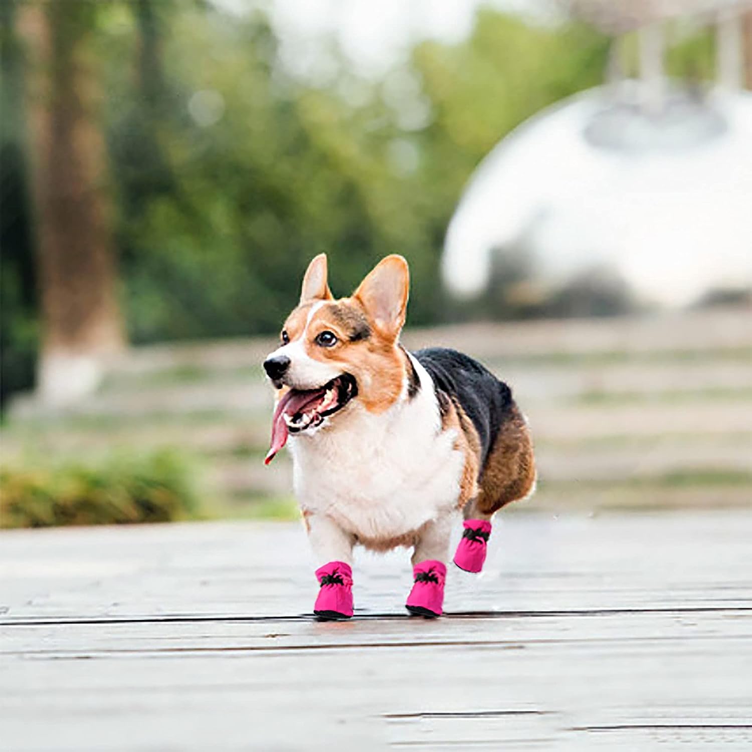 Yaodhaod Dog Shoes For Hot Pavement, Anti-Slip Sole Dog Boots & Paw Protector For Summer, Reflective Straps Dog Booties For Smal
