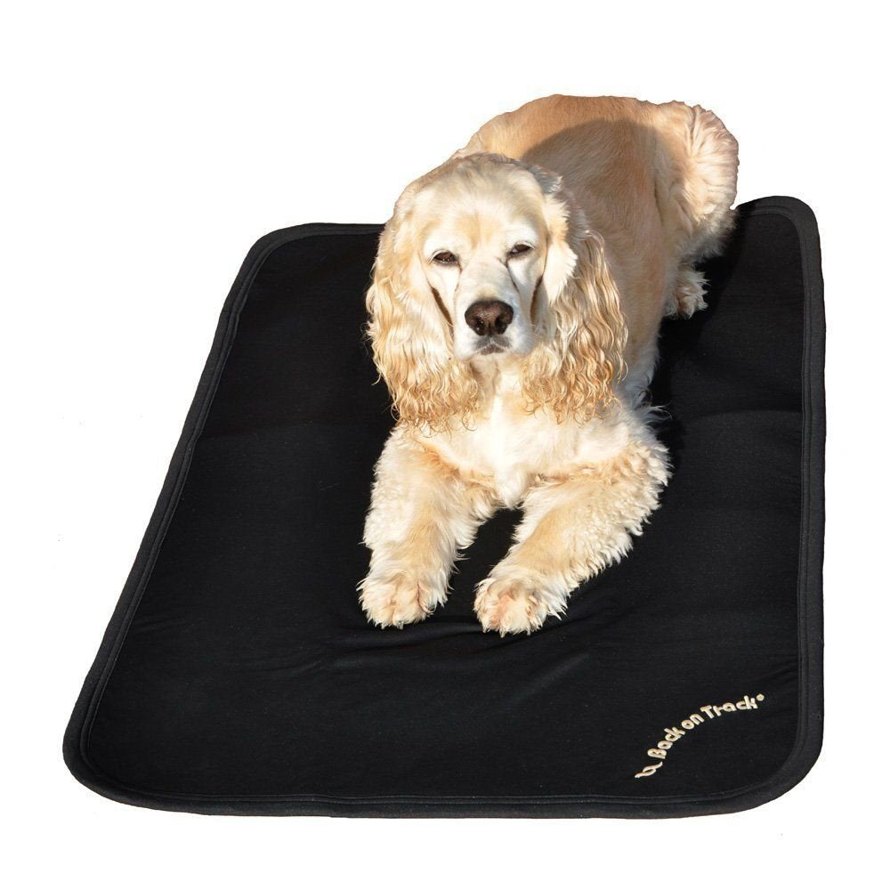 Back On Track Dog Mattress Cage (Medium (34'' X 22''))