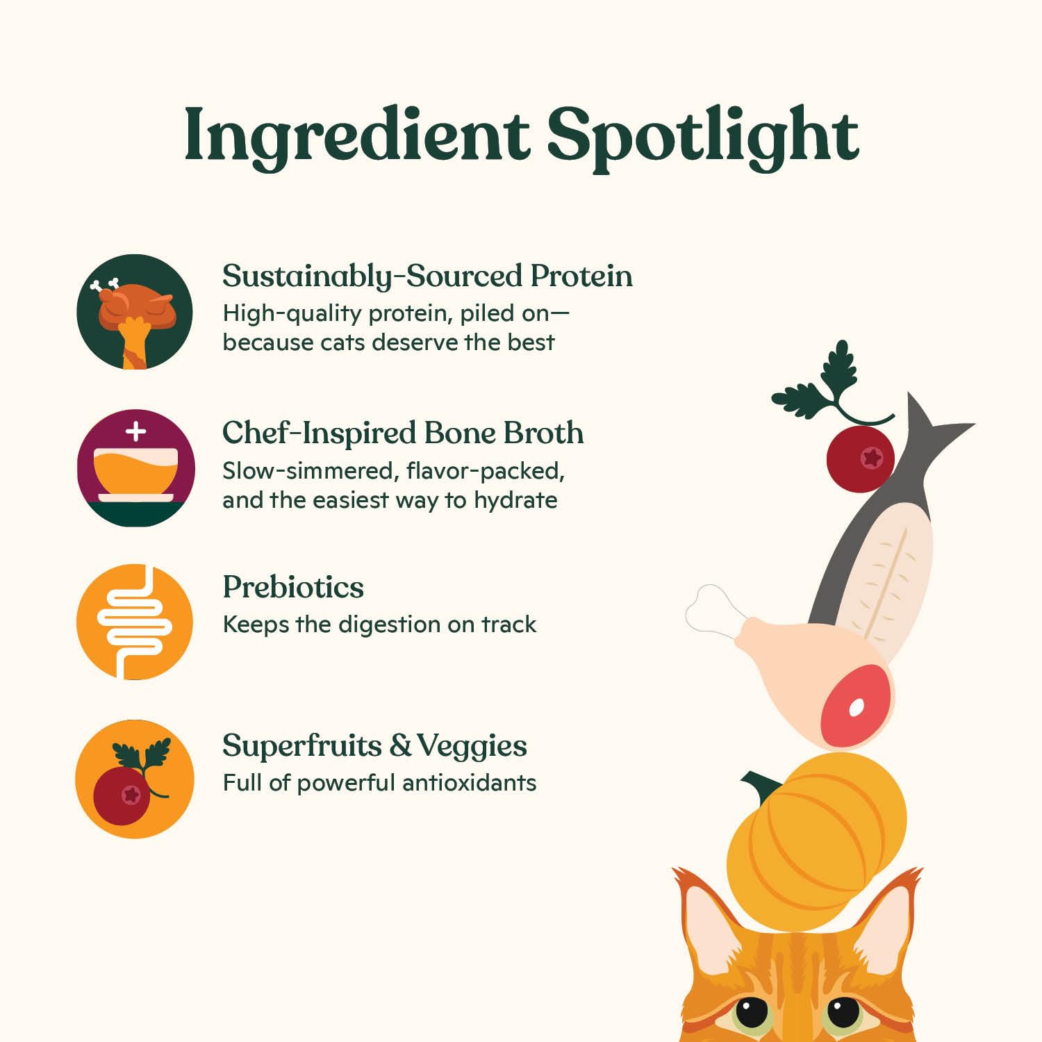 Made by Nacho Premium Minced Wet Canned Cat Food with Hydrating Bone Broth 5.5oz (12 Packs) (Variety Pack (Turkey & Turkey Liver
