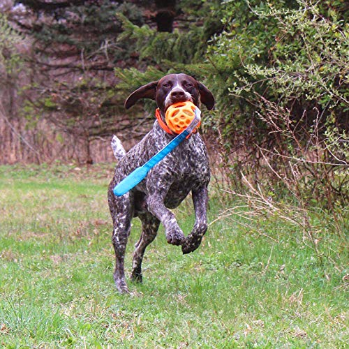 Chew King Ball Launcher - 2.5 Balls, Ball Launcher - 3 Balls, Medley 3pk/2.75, Medley 3pk/3.25, Small Float and Glow Flyer, Larg