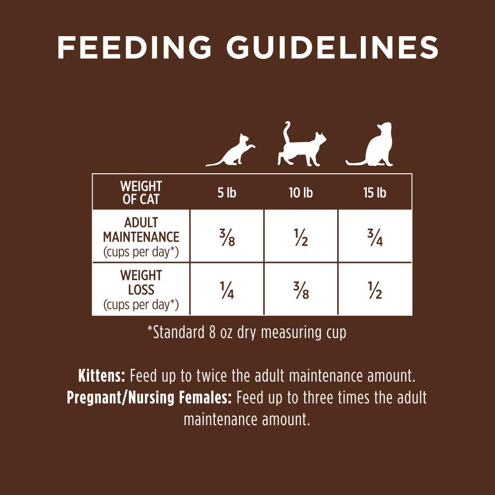 Instinct Original Grain Free Recipe with Real Rabbit Natural Dry Cat Food, 10 lb. Bag