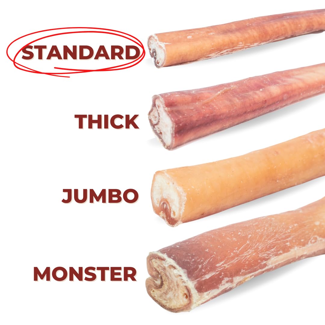 Bully Bunches Premium 12 Inch Standard Odor Free Bully Sticks for Small & Medium Dogs - Long Lasting Chews for Oral Care - Rawhi