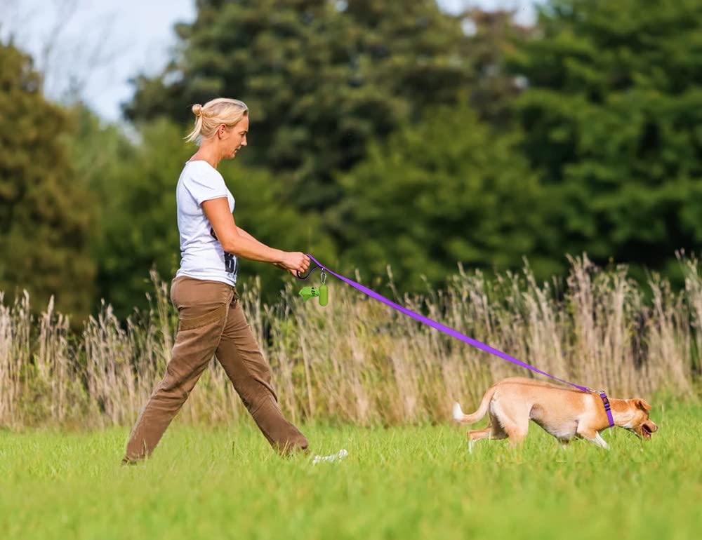 Taglory Nylon Dog Leash 6Ft, Soft Padded Handle Pet Reflective Leashes For Puppy Small Medium Dogs Walking & Training, Purple