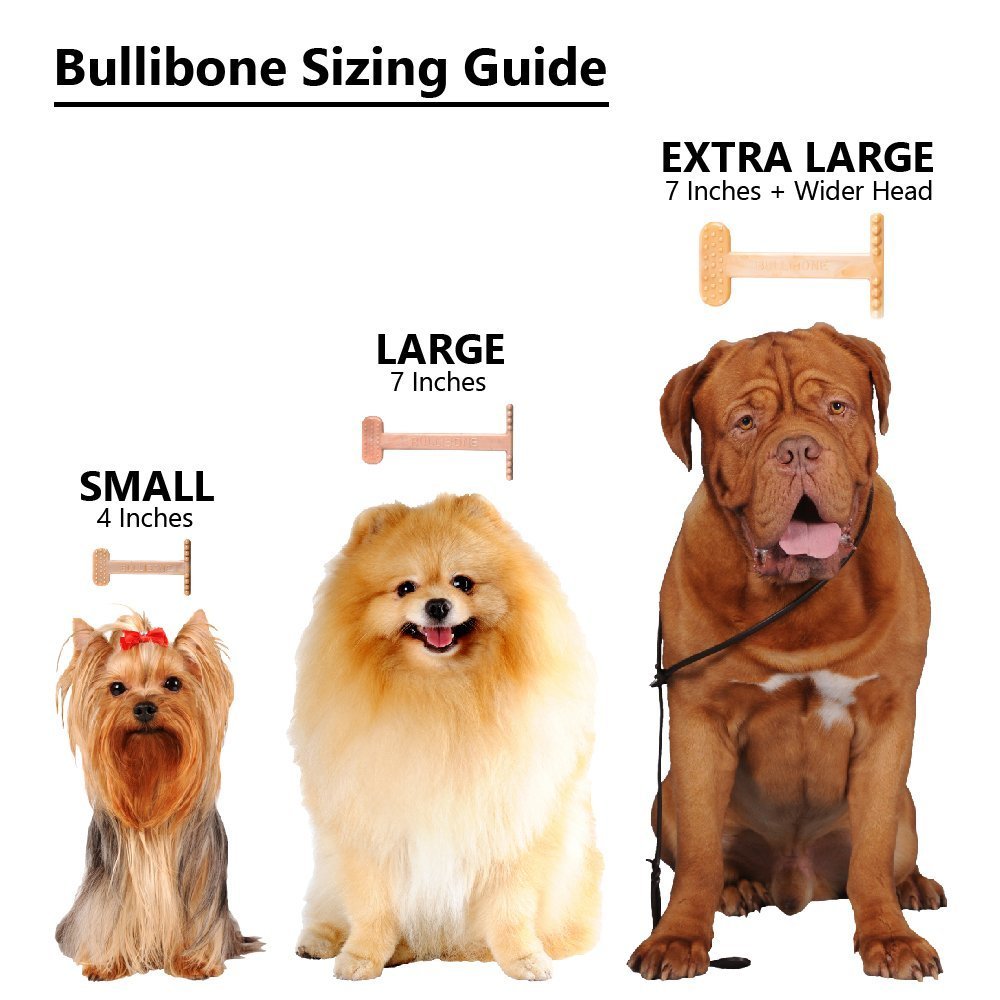Bullibone Nylon Dog Chew Toy Nylon Bone - Improves Dental Hygiene, Easy to Grip Bottom, and Permeated with Flavor (Bacon, Large