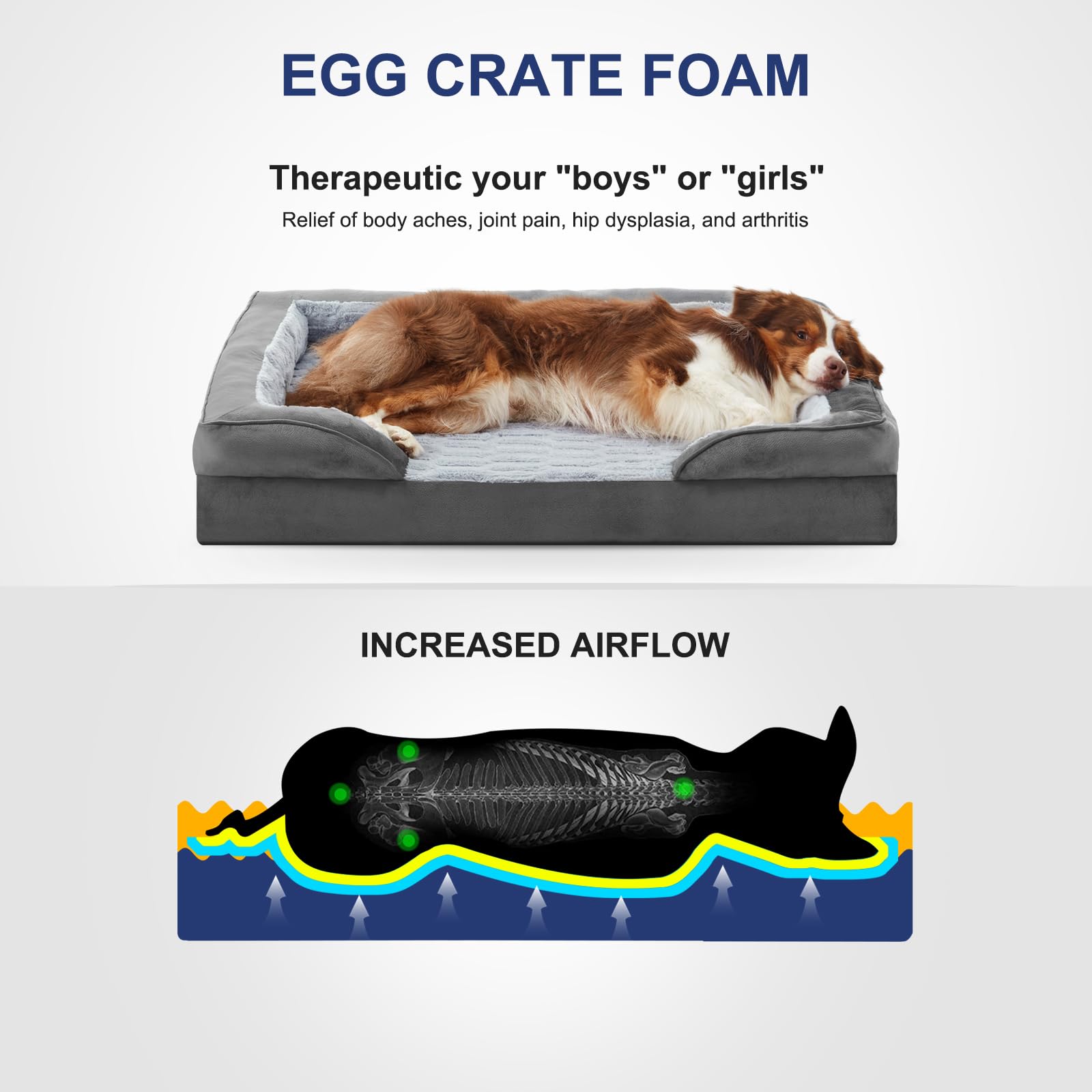 FURTIME Orthopedic Small Dog Beds - Waterproof Ultra Comfy Supportive Foam Pet Couch with Removable Washable Cover, Nonskid Bott