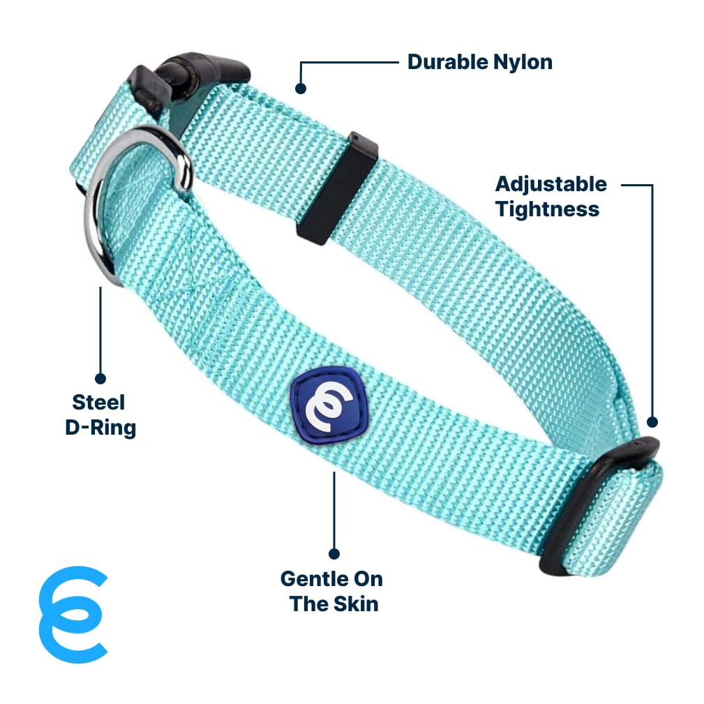 Blueberry Pet Essentials Matching Dog Collar | Adjustable Classic Solid Color Nylon Collar For Medium Dogs | Mint Blue