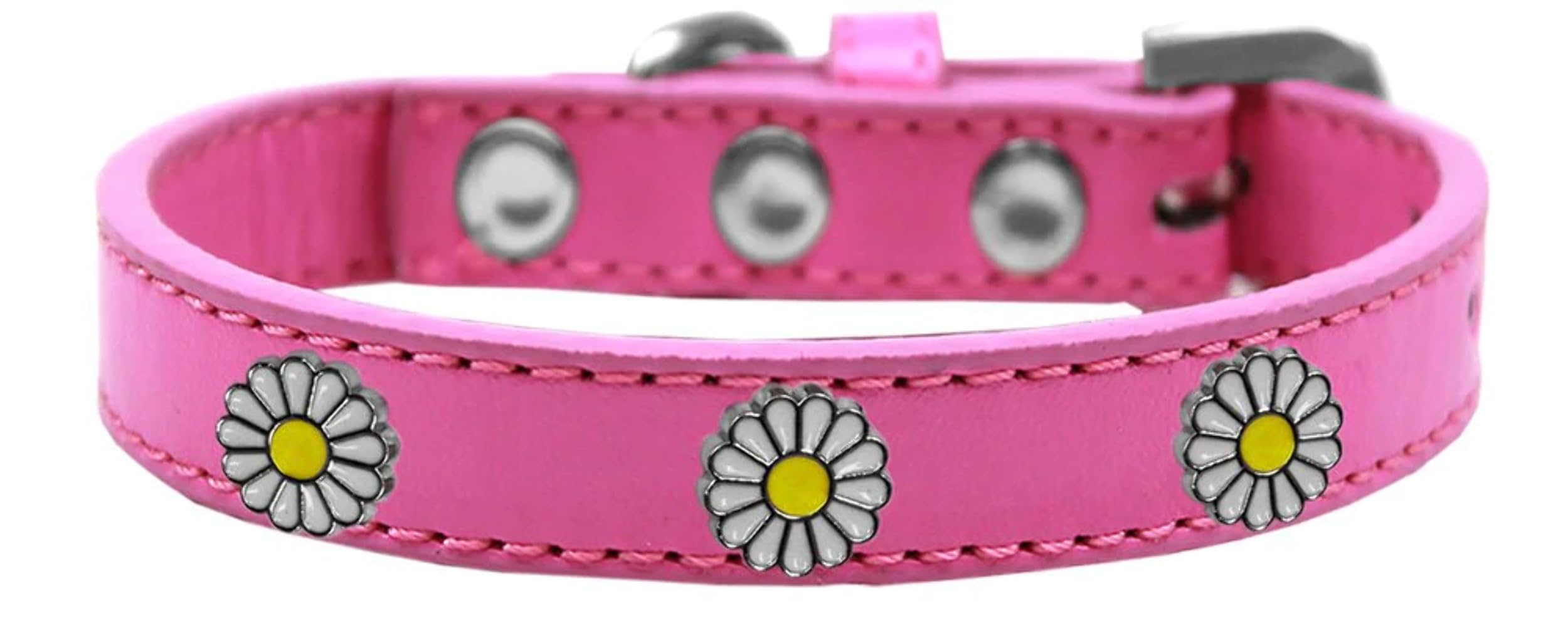 Dog, Puppy and Pet Widget Fashion Collar, "White Daisies" Aqua 18