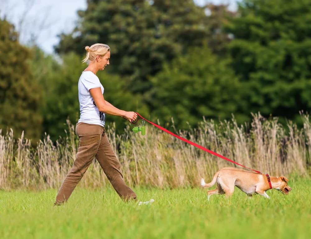 Taglory Nylon Dog Leash 6Ft, Soft Padded Handle Pet Reflective Leashes For Medium Large Dogs Walking & Training, Red