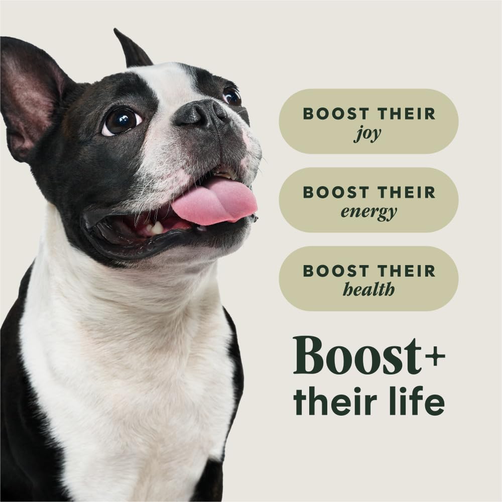 Instinct Raw Boost Small Breed, Natural Dry Dog Food with Freeze Dried Pieces, High Protein, Grain Free Recipe - Real Beef, 3.5