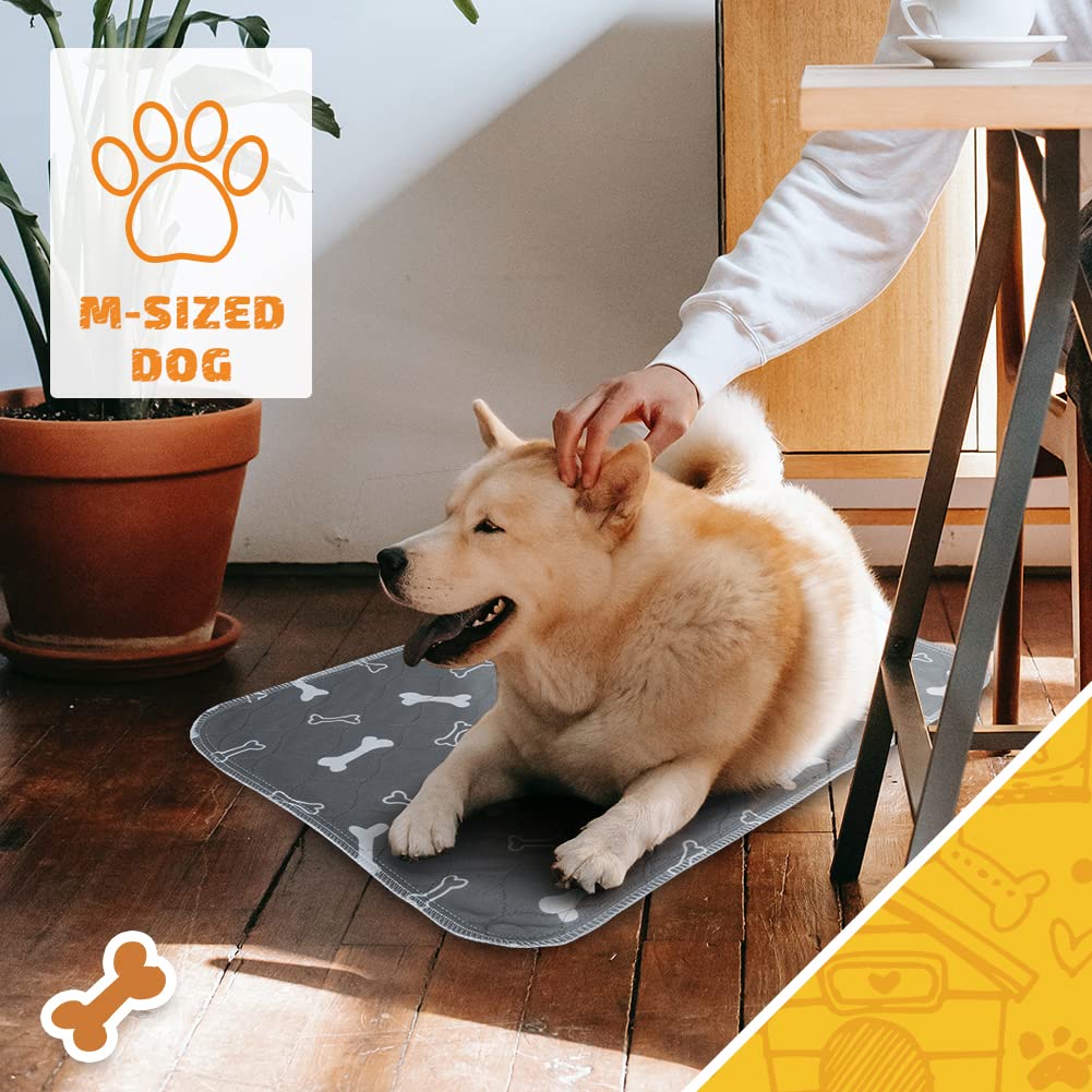 2Pack Washable Pee Pads For Dogs, 41?6 Inch Reusable Dog Pads, Non Slip Puppy Pads With Urine Absorption, Reusable Puppy Pads For Whelping, Potty, Training, Playpen