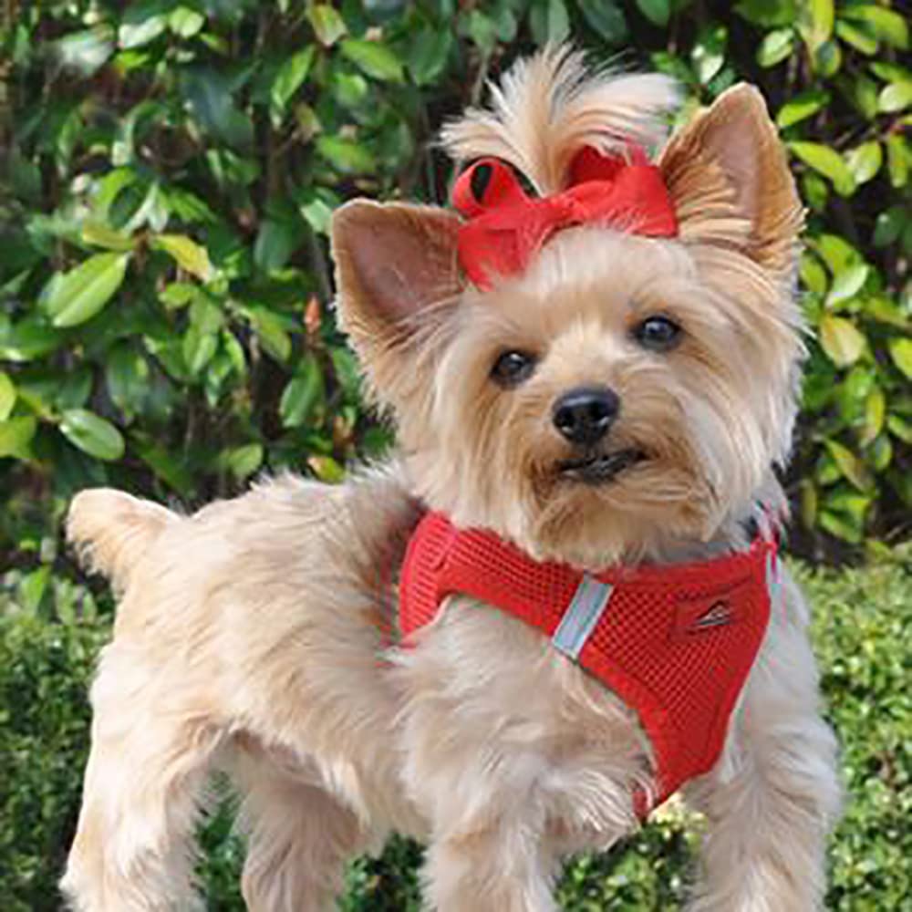 Doggie Design American River Ultra Choke-Free Harness (Red, Small (Chest 13-16 Weight 6-11 Lbs))