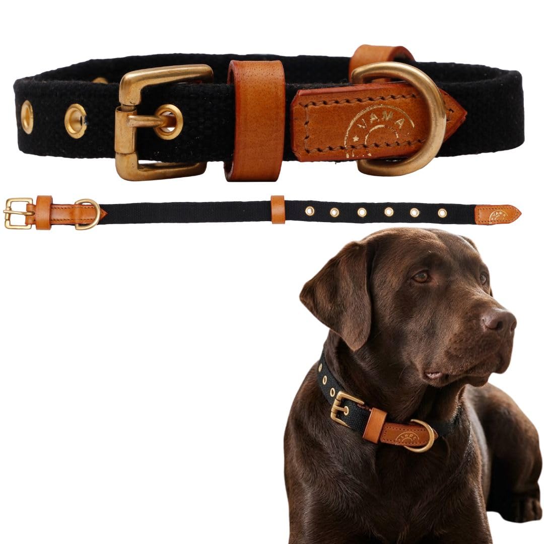 Sustainable & Eco Friendly Material Dog Collar 100% Cotton Canvas With Sturdy Solid Brass Buckle. Hand Made, Color Black, Size