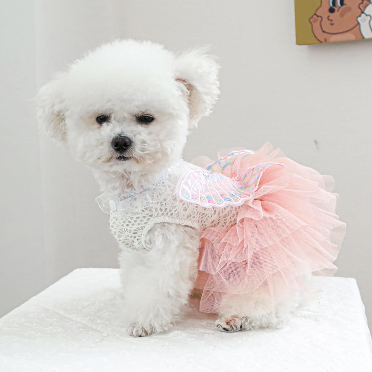 Marupet Fashion Sweet Puppy Dog Blingbling Princess Skirt Pet Dog Lace Cake Camisole Tutu Dress B-Pink S