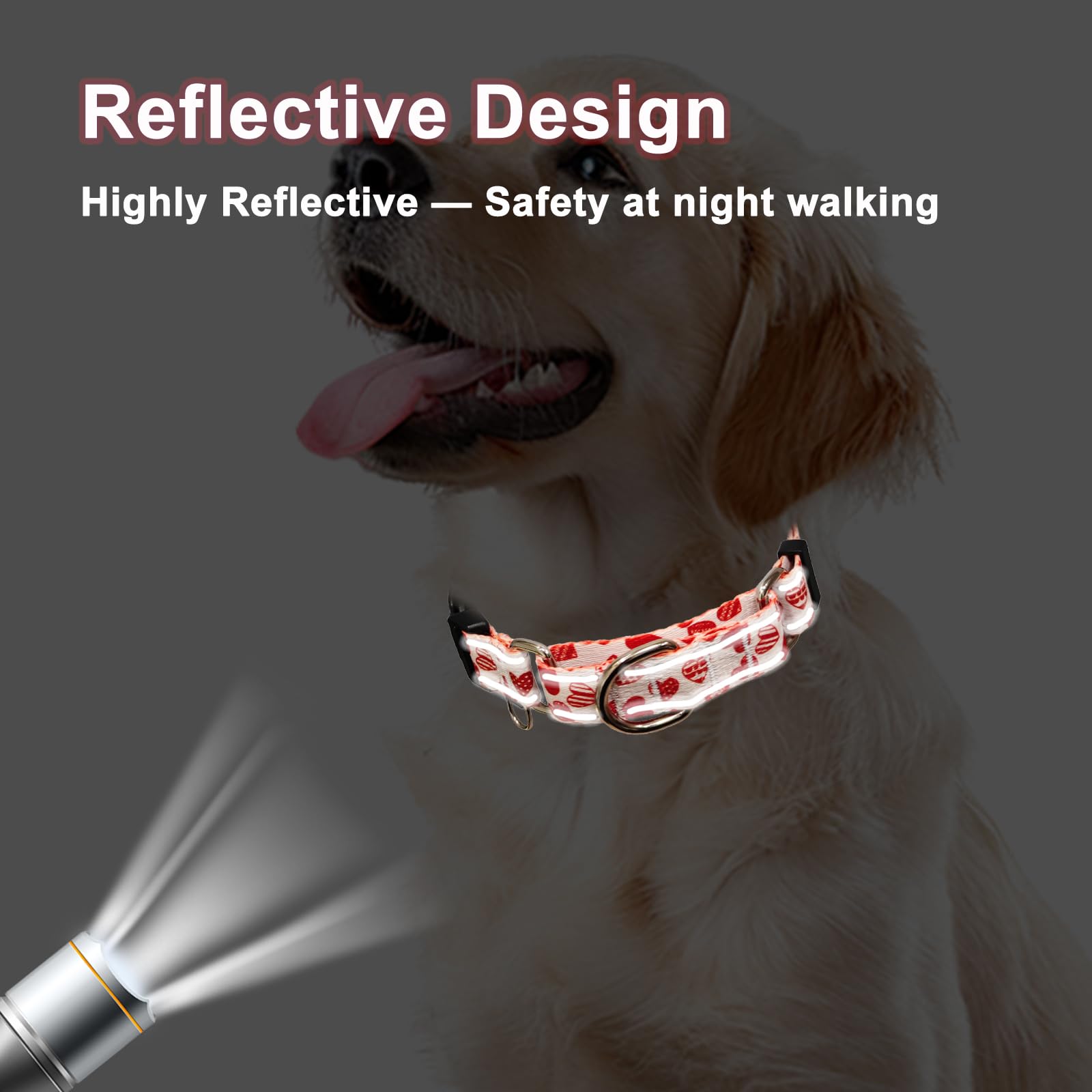 Fidohug Valentines Reflective Martingale Collar For Dogs With Quick Release Buckle Cute Girl No Pull Dog Collars (Red Heart, Sma