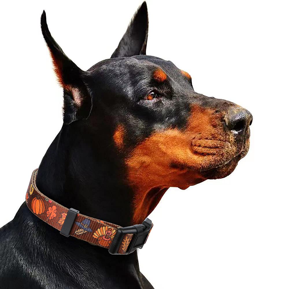 Rhea Rose Fall Halloween Thanksgiving Dog Collars Small Size