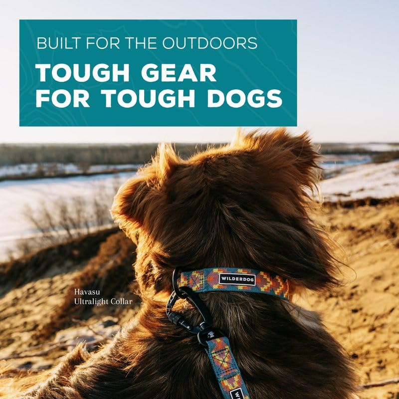 Wilderdog Ultralight Collar Series For Dogs - Medium - Havasu