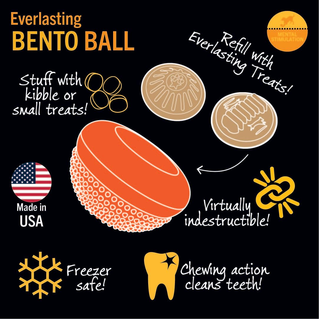 Starmark Everlasting Bento Ball, Orange, Large