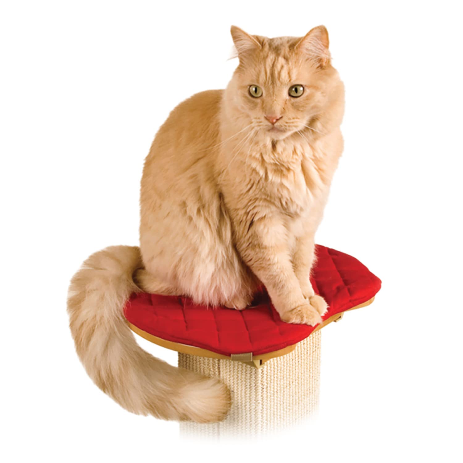 Smartcat Perch For The Ultimate Scratching Post, Color-Red