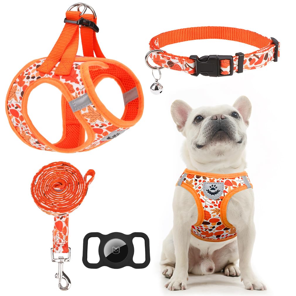 EXPAWLORER Thanksgiving Autumn Puppy Harness - Dog Collar and Leash - Soft Mesh Padded Adjustable Step in Small Dog Vest Harness
