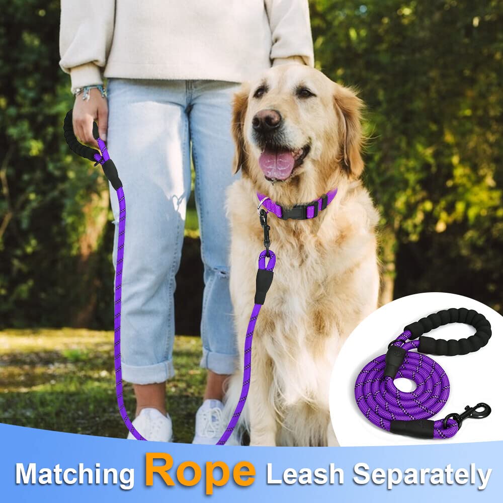 Taglory Reflective Adjustable Dog Collars For Puppy Small Medium Large Dogs, Thin Nylon Webbing And Quick Release Plastic Buckle(Purple,Large)