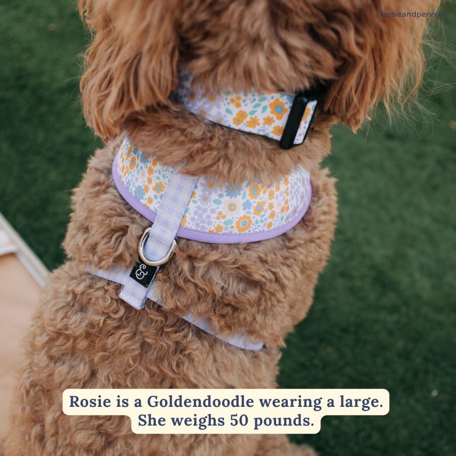 Lucy & Co. Among The Wildflowers Dog Collar - Durable Lightweight Designer Collar For Pets - Adjustable Metal Safety Buckle - Pu